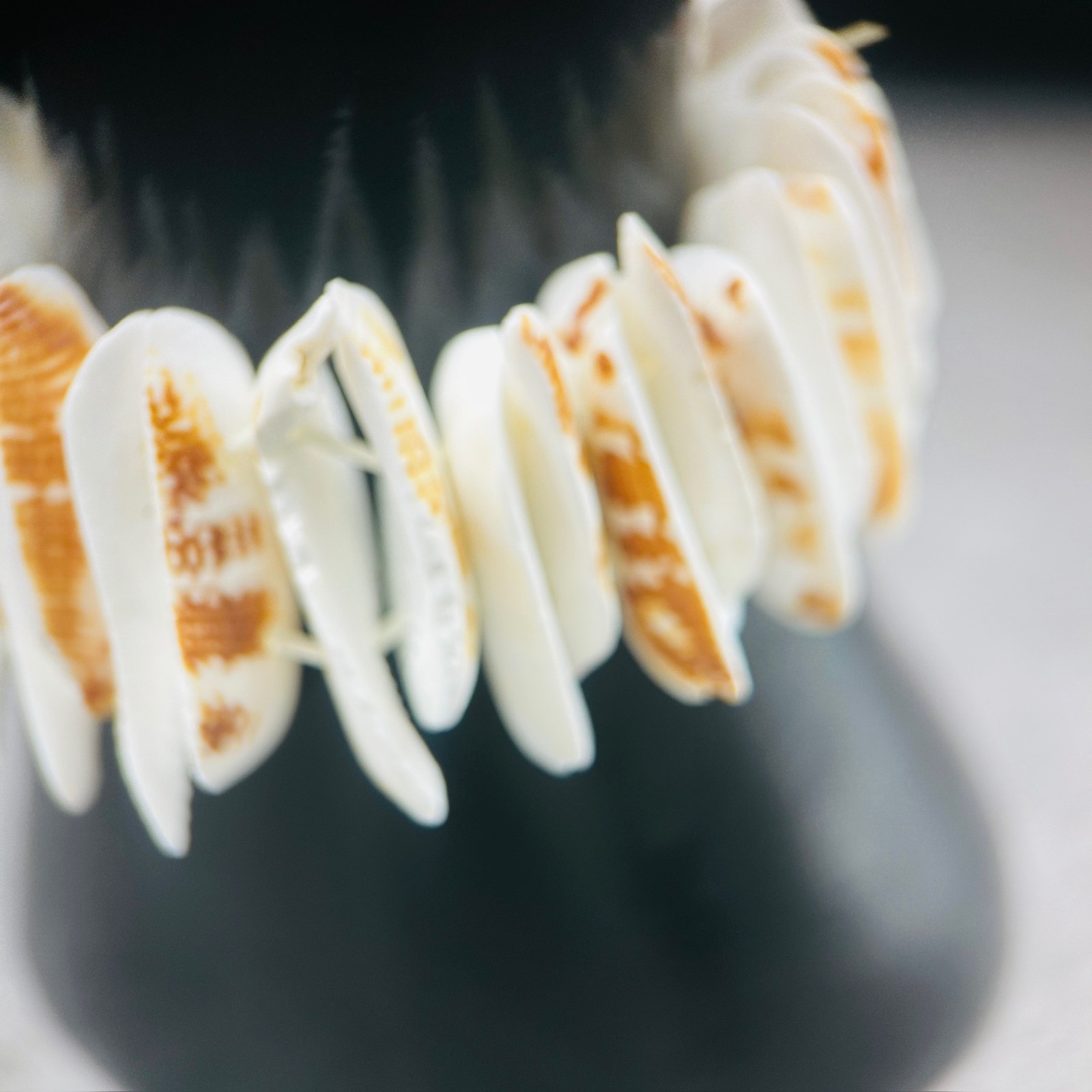 Natural Shell Disc Stretch Bracelet Beachy Boho Summer Style