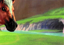 Legend of Zelda The Trading Card Enterplay 2016 101 Silver FOIL Puzzle Card Eldi