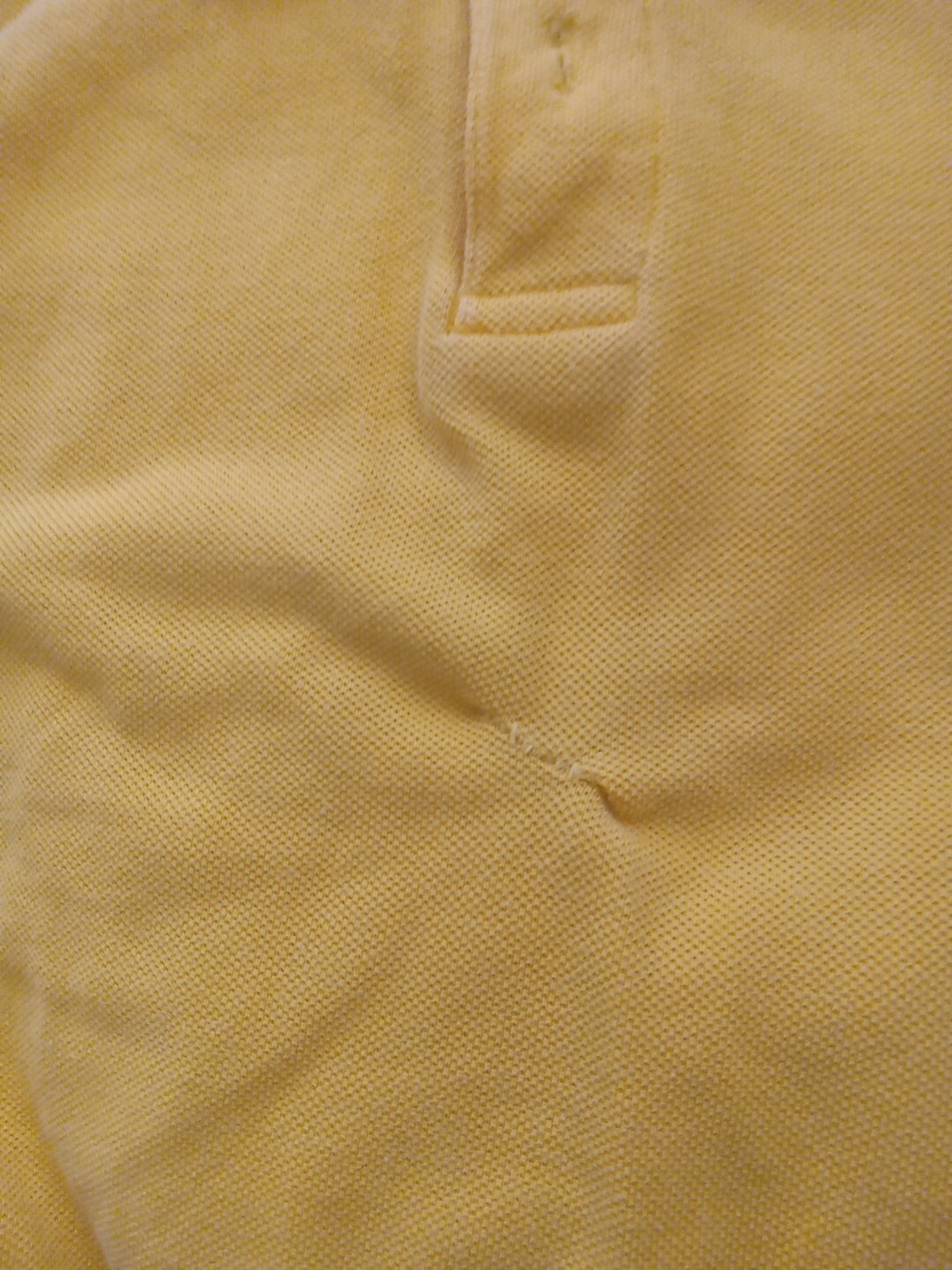 Picture 3 of 3