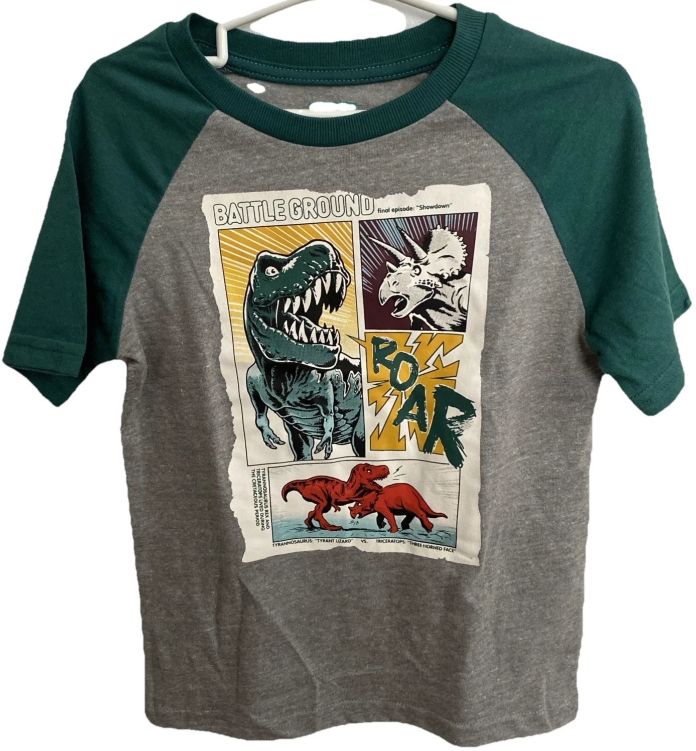 365Kids Granimals Dinosaur Raglan Sleeve T-shirt Size 6 Graphic Front Gray Green