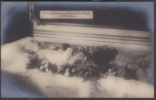 31146 AK Foto Wien Leichenzug Aufbahrung Kaiser Franz Josef in Schönbrunn 1916