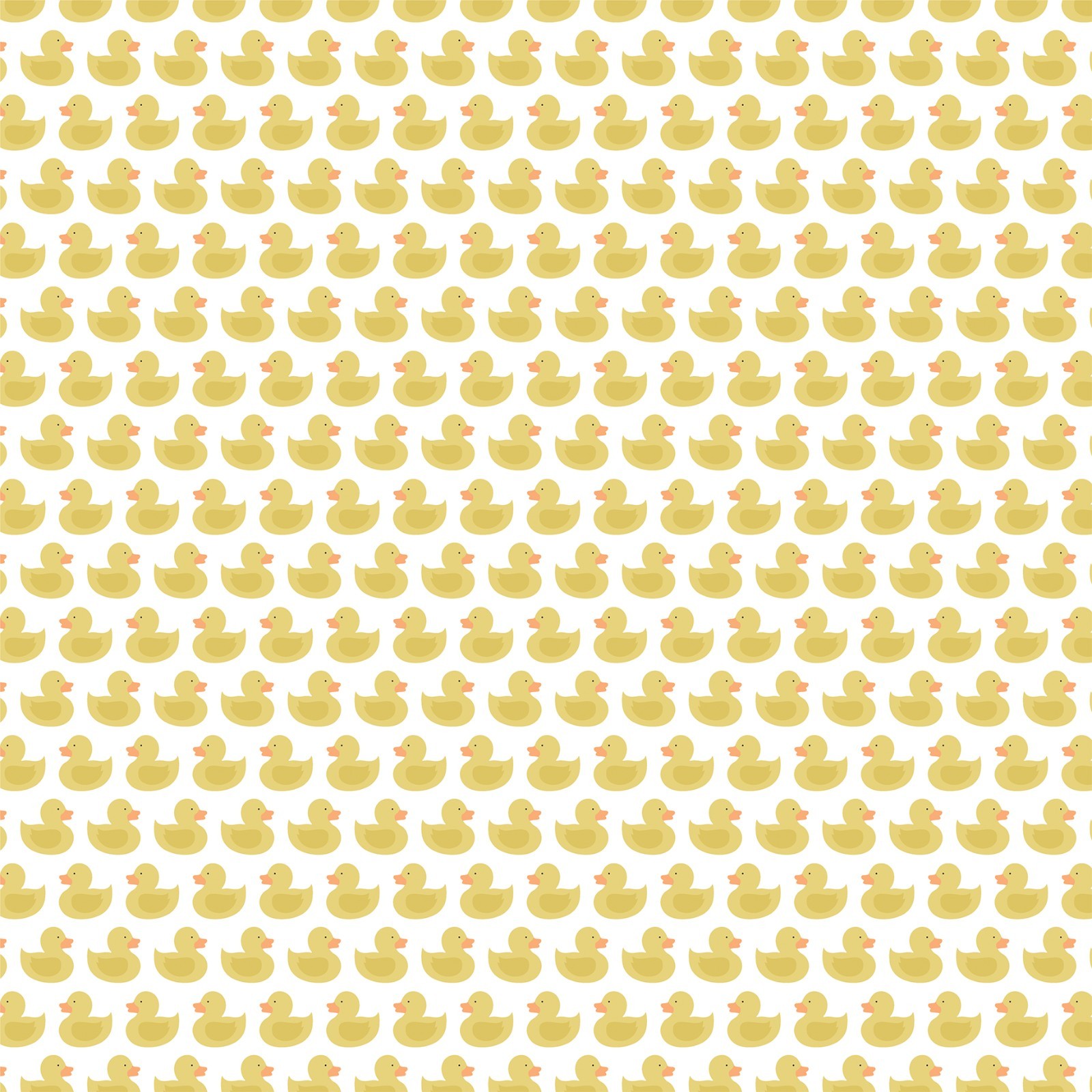 Baby Boy  Echo Park Collection Kit