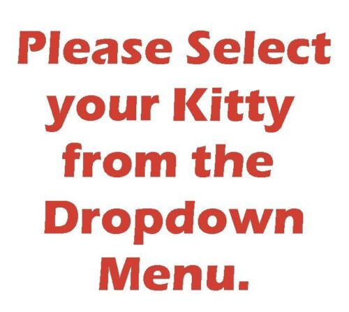 Kitty in my Pocket LOADS OF KITTIES TO CHOOSE FROM Vintage 1994 M.E.G. Toys - Picture 2 of 57