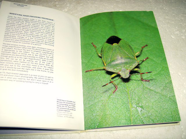 Picture 4 of 8