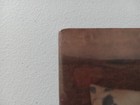 Picture 3 of 16