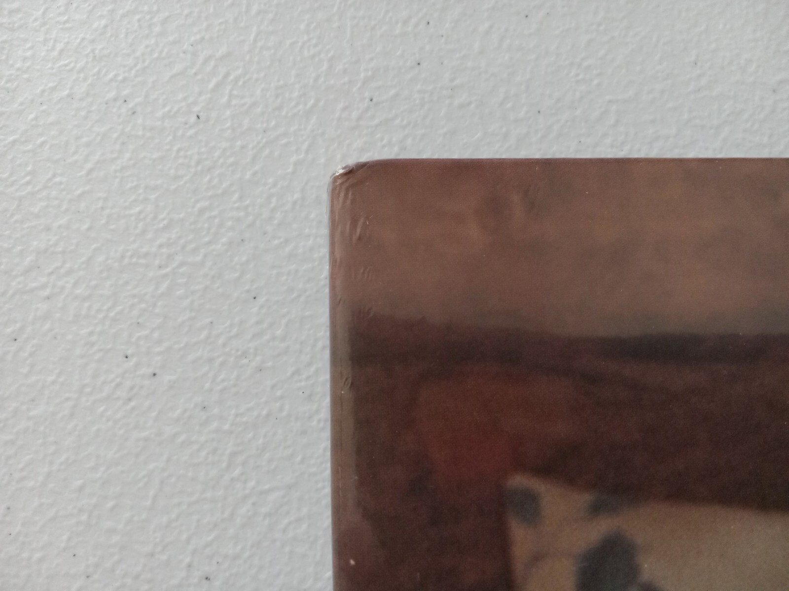 Picture 3 of 16