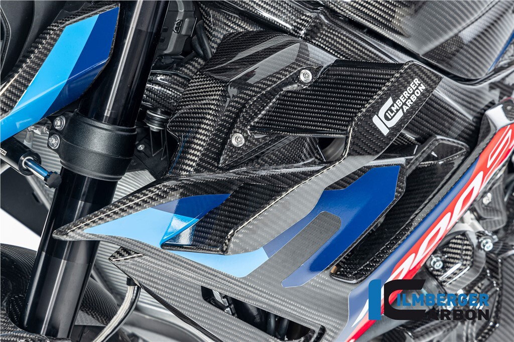 M1000R カーボン柄　ウイングレット BMW M1000R Carbon Fiber Winglets (Read Description)