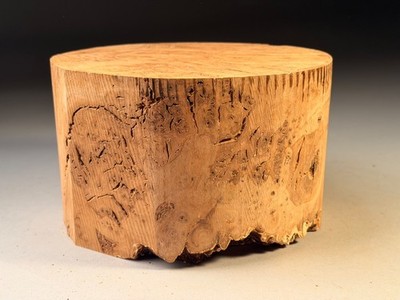 ERSTAUNLICHE große Wurzelholz Eiche Drechselholz Schüssel Rohlinge 8x5 Zoll 3,8 kg