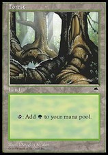 Forest B - Light Play MTG Tempest