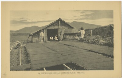 antique tobacco dryer Antique Print of tobacco drying in Payakumbuh (1911)