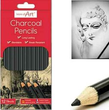 12 x Charcoal Pencils For Drawing Sketching Shading, Blendable, Break Resistant