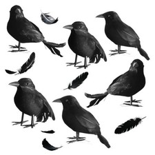 Halloween Black Crows with Realistic Feathered,Crow Ravens Prop for 6 Pack