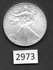 (BN-2973) Walking Liberty, Fine Silver $1 Year 2010