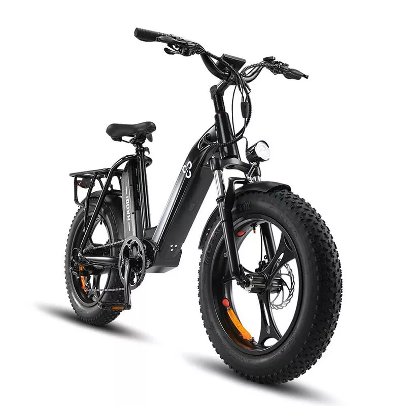 Electric Bike for Adults 500W Motor 48V 25AH E Bike Dual Lithium