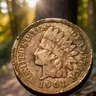 1901 Indian Head Cent Actual Coin Shown - 11