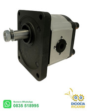 POMPA IDRAULICA Olio GRUPPO 2 DX Pompa Olio idraulico a Ingranaggi