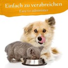 Bild 5 von 6
