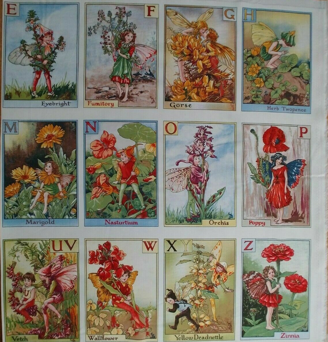 Alphabet Flower Fairies Panel ABC Fairy Blocks Cicely Mary