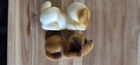 Bild 12 von 21