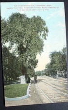 CAMBRIDGE MA*1900s PC *Dirt St Trolley* WASHINGTON ELM.