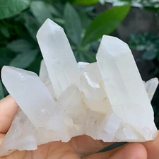 308g   Natural Clear White Quartz Crystal Cluster Rough Healing Specimen