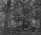 Federal breastworks on Culp's Hill Gettysburg 1863 - New 8x10 Civil War Photo