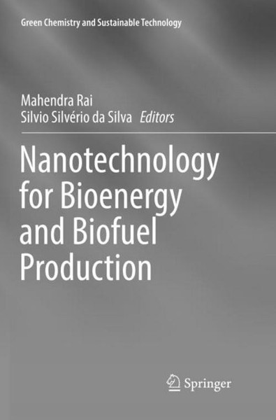 Nanotechnology For Bioenergy And Biofuel Production Silvio SilvéRio Da Silva-image