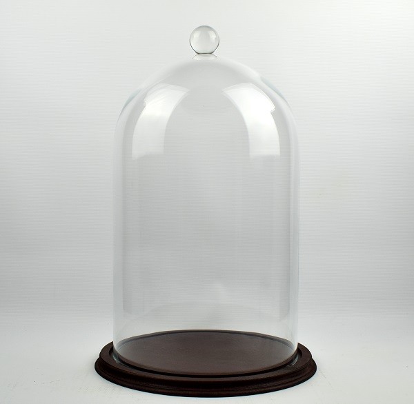 Clear Circular Glass Dome With Knob and Brown Vintage Wooden Base H:44x 25 cm