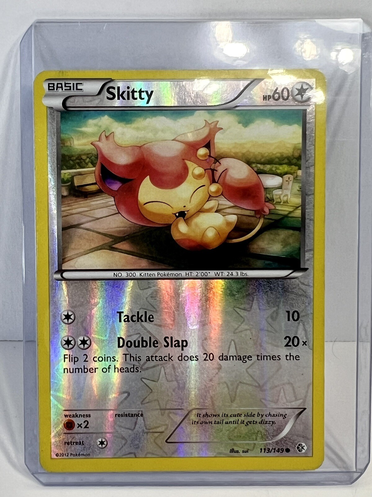 Skitty 113/149 Boundaries Crossed Pokemon Common Reverse Holo Near Mint