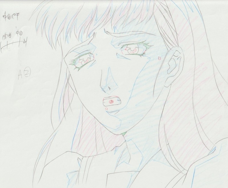 The Twelve Kingdoms Juuni Kokki Genga Douga Original Sketches Pierrot - Youko