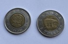 Foto 2 di 7