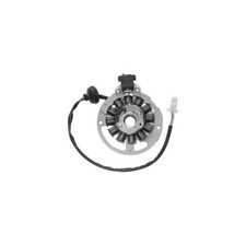 STATORE DUCATI 12 POLI PER SCOOTER 50 MALAGUTI F12 EURO2 31142012