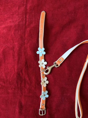 Collare con Margherite e Guinzaglio - Foto 2 di 4