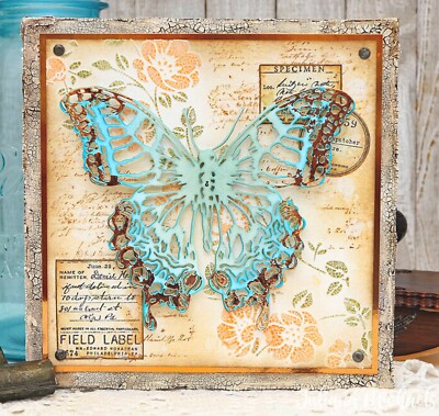New Sizzix Thinlits Perspective Butterfly #665201 Retail