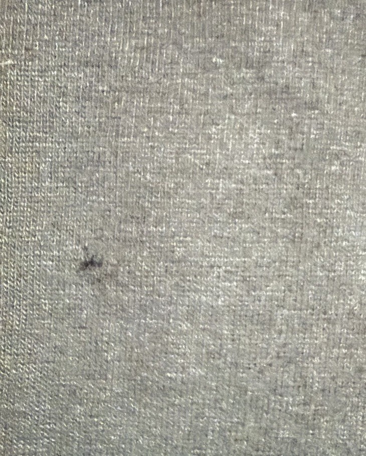 Picture 5 of 10