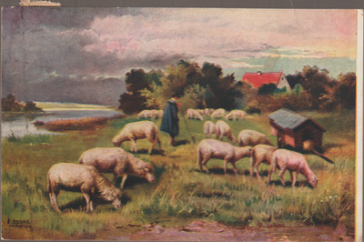 The Sheep Herder Postcard (10837)