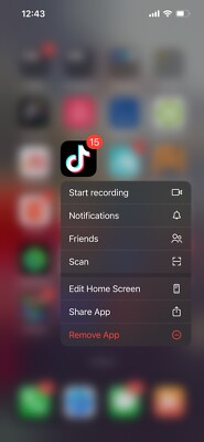 iPhone 13 With TikTok
