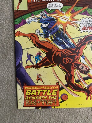 デアデビル　フォトサイン DAREDEVIL #186 CGC SS Signed Art Print by Frank Miller