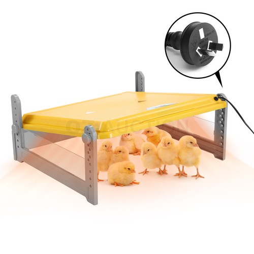 Chick Brooder Heating Plate Warmer Chicken Coop Brooding Heater Poultry Duckling - Picture 29 of 61
