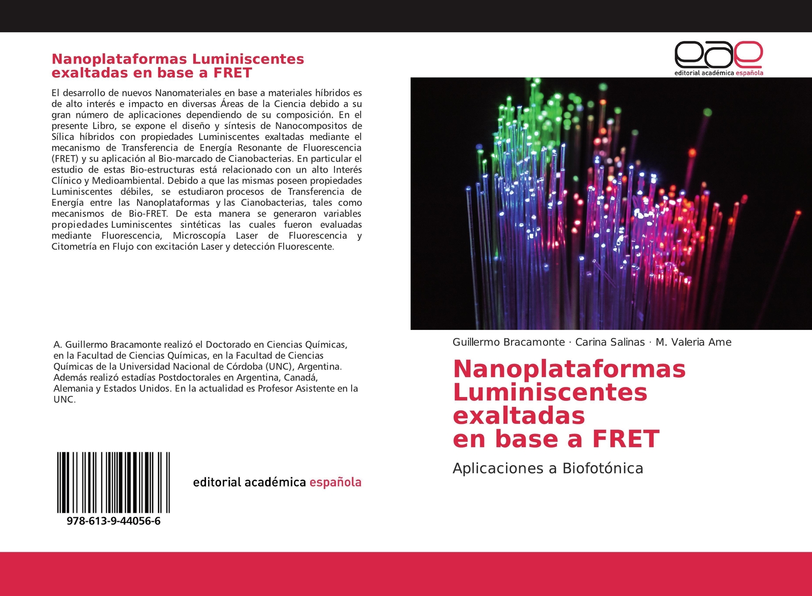 Thumbnail - Nanoplataformas Luminiscentes Exaltadas En Base A Fret Bracamonte (u.