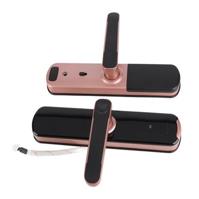 Digital Door Lock Card For Anti Theft Fingerprint Password IC Card Rose SET