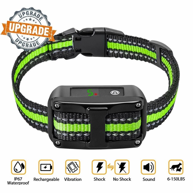 citronella collar ebay