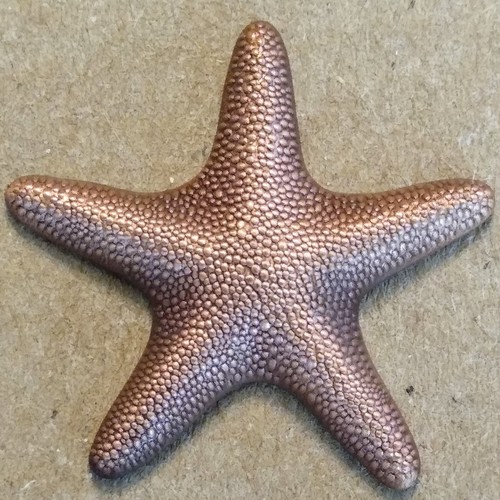 Little Rhody 2011 Sea Star Geocoin - A.C. - Activated, Adoptable - TB4HB96
