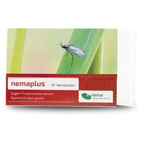 Nemaplus Sf Nematoden Gegen TrauermüCken 12 Mio. SchäDlingsbekäMpfung Pflanzen