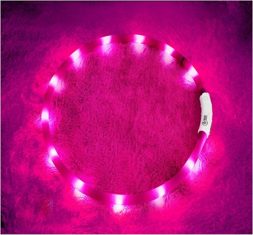 Collier LED pour chien longueur personnalisable avec 12 lumières lumineuses - équipement de sécurité ultime - Photo 3/10
