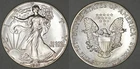 1987 American Silver Eagle 1 ounce .999 fine uncirculated