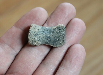 Fossil Manatee phalange phalanx Pleistocene Florida