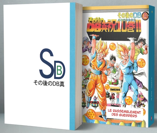 Dragon Ball DB AFTER Tome 10 Manga Traduits en Français