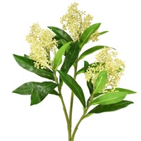 KüNstliche Blumen Creme Skimmia Japonica Skimmie 45Cm 2St Deko Pflanze Als