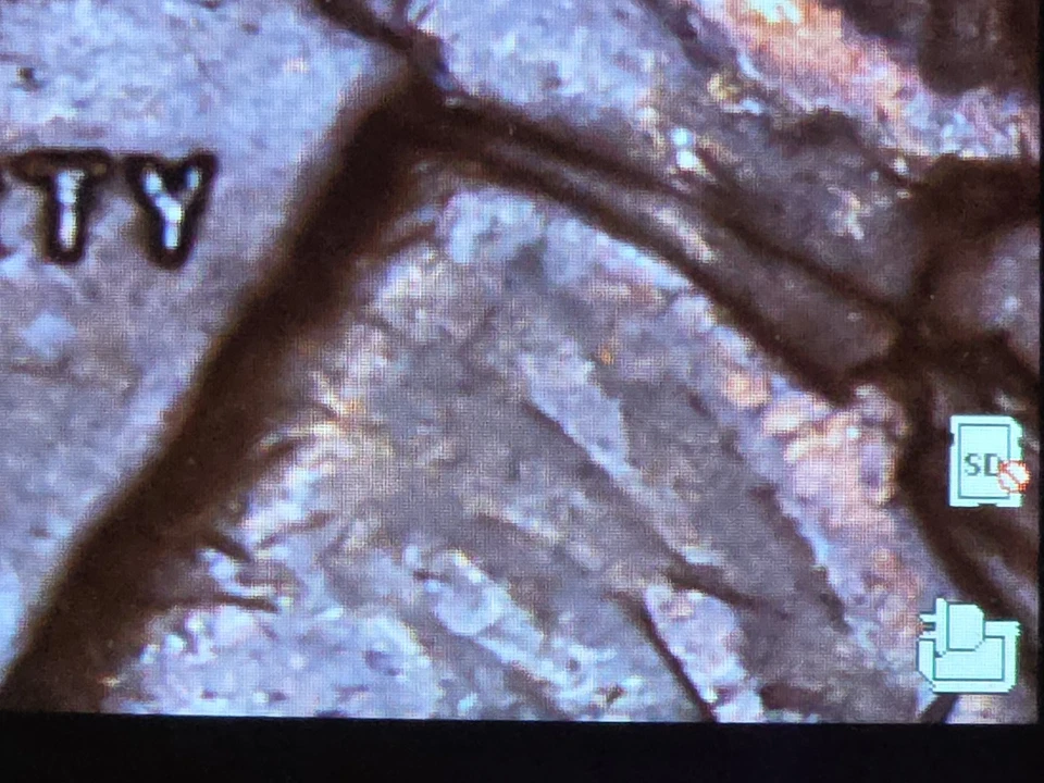 1950 wheat penny ERROR Missing Last Digit - Image 2 of 4